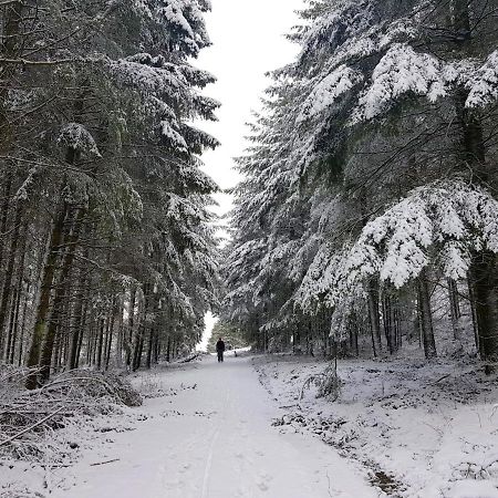 Ferienwohnung Christina Hinterweiler المظهر الخارجي الصورة